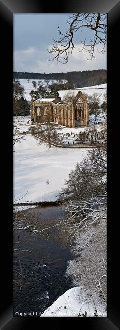 Bolton Abbey winter walk Framed Print by Chris North