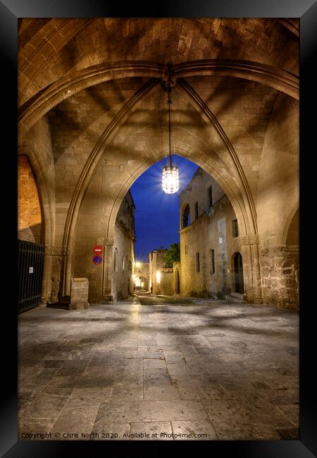 Avenue of the Knights  Framed Print by Chris North