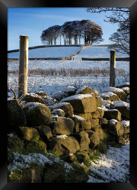Winter on the Chevin, Otley West Yorkshire. Framed Print by Chris North