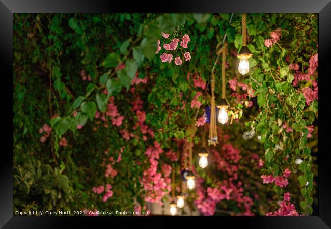 Cherry Blossom at Kalkan , Turkey. Framed Print by Chris North