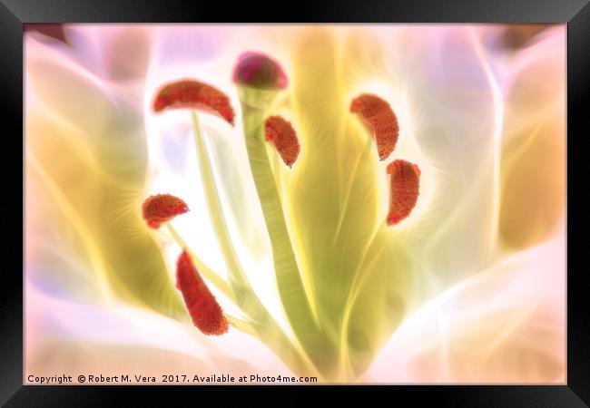 Digitally Enhanced White Lily Flower Framed Print by Robert M. Vera
