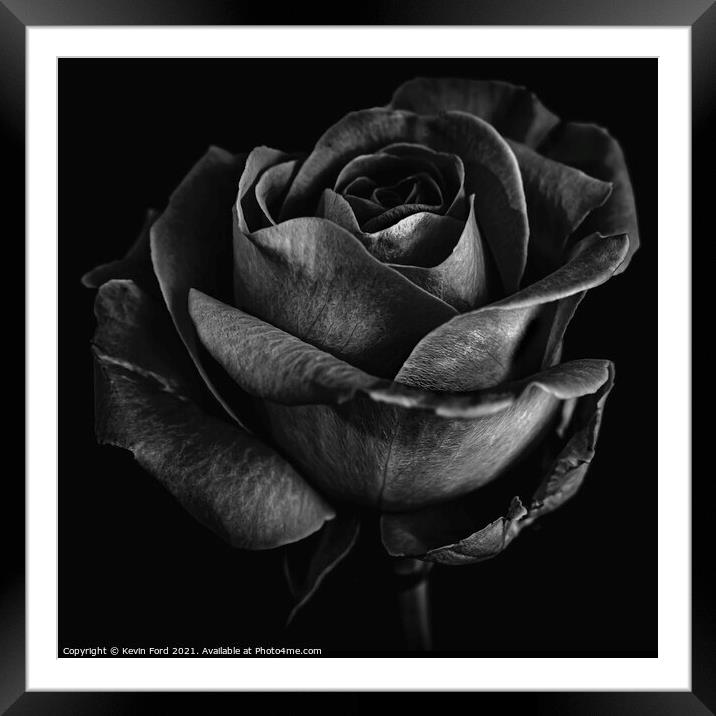 Black Rose Framed Mounted Print by Kevin Ford