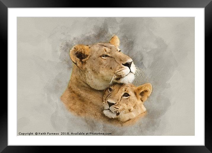 Lioness and Her Cub Framed Mounted Print by Keith Furness
