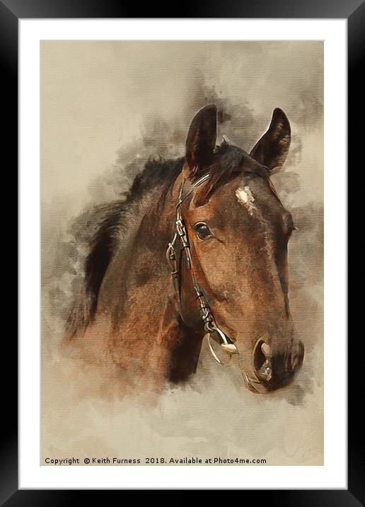 Four Legged Friend Framed Mounted Print by Keith Furness