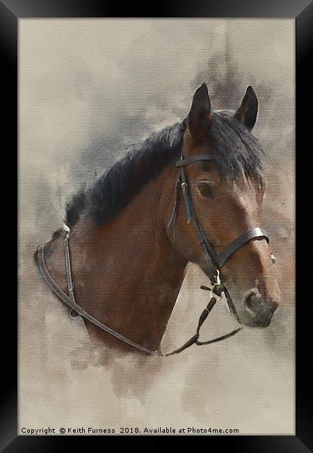 Harvey the Horse Framed Print by Keith Furness