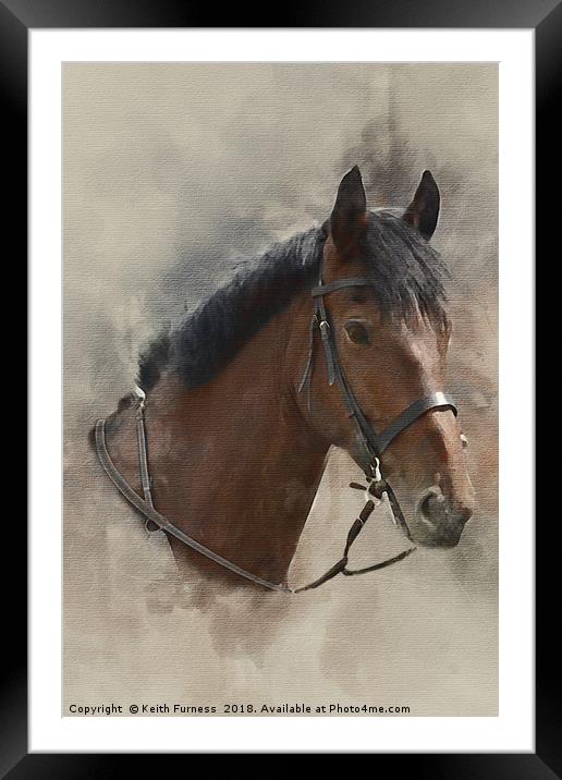 Harvey the Horse Framed Mounted Print by Keith Furness