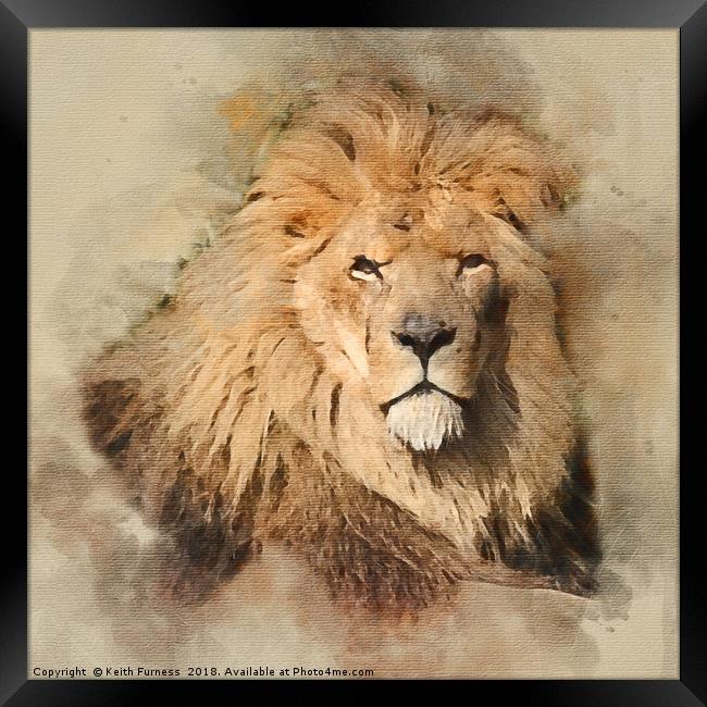 King of the Jungle Framed Print by Keith Furness