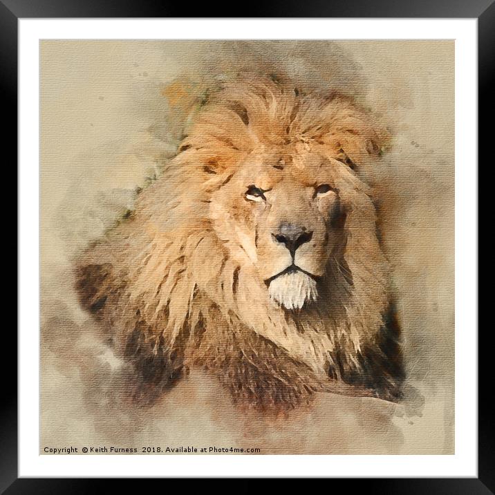 King of the Jungle Framed Mounted Print by Keith Furness