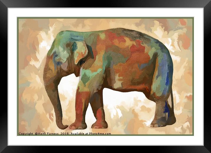 Elephant in Colour Framed Mounted Print by Keith Furness