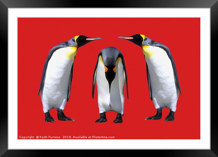 Three Penguins Framed Mounted Print by Keith Furness