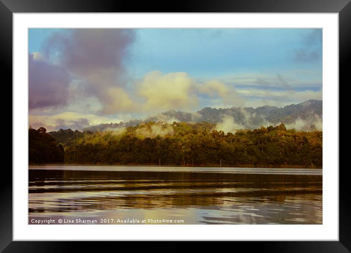 Transpiration coming from the jungle trees Framed Mounted Print by  