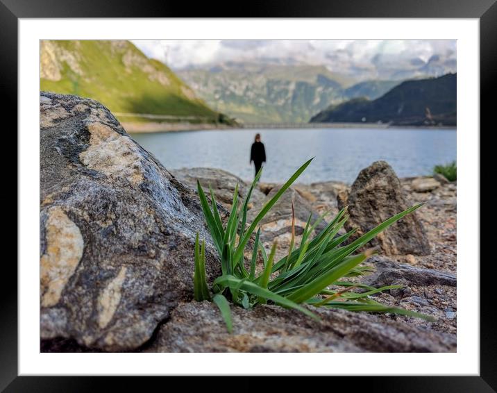 Life at the rim of the lake Framed Mounted Print by Luca Bosotti