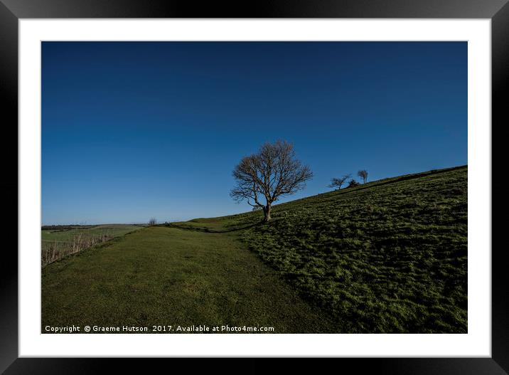 Lone Tree on Cissbury Ring Framed Mounted Print by Graeme Hutson