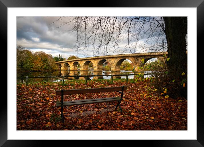 The Seat Framed Mounted Print by mark james