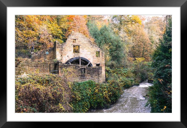 Autumn in Jesmond Dene Framed Mounted Print by mark james