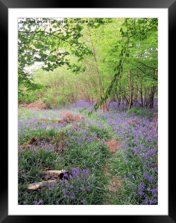 Hidden Bluebell Wood Framed Mounted Print by Kate Small