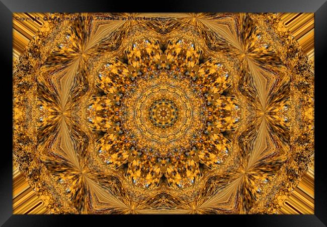 Golden Lace Framed Print by Kate Small