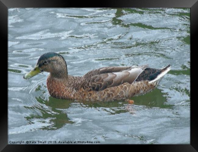 Study of Waterfowl Framed Print by Kate Small