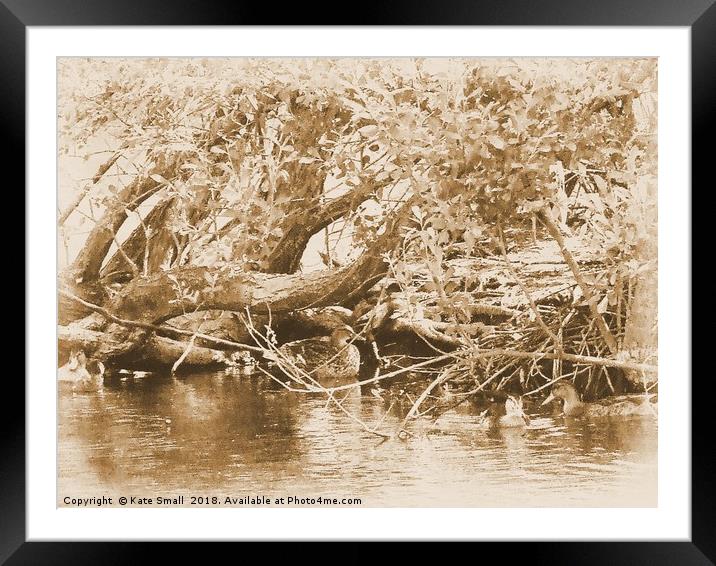 River Life Framed Mounted Print by Kate Small