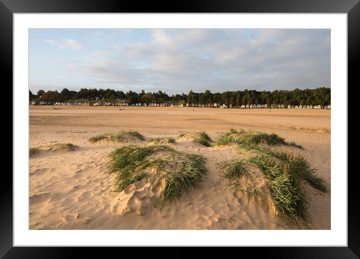 Sand dunes and beach huts at Wells Next the Sea Framed Mounted Print by Owen Vachell