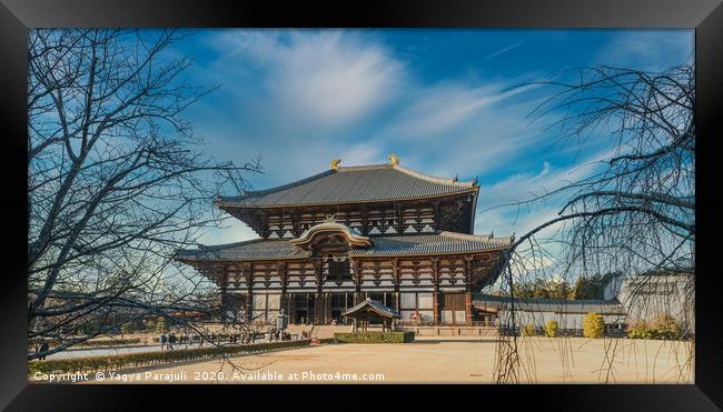 Nara castle of japan Framed Print by Yagya Parajuli