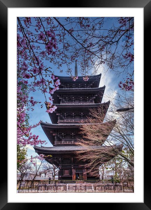 Second Tallest pagoda of japan Framed Mounted Print by Yagya Parajuli