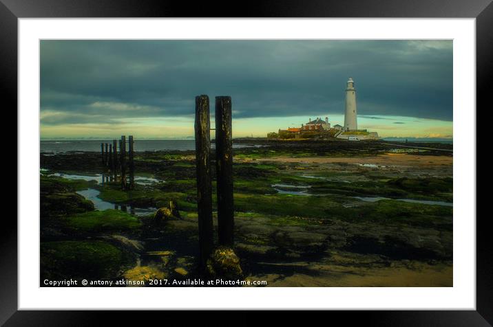 Tynemouth St Mary's Lighthouse  Framed Mounted Print by Antony Atkinson