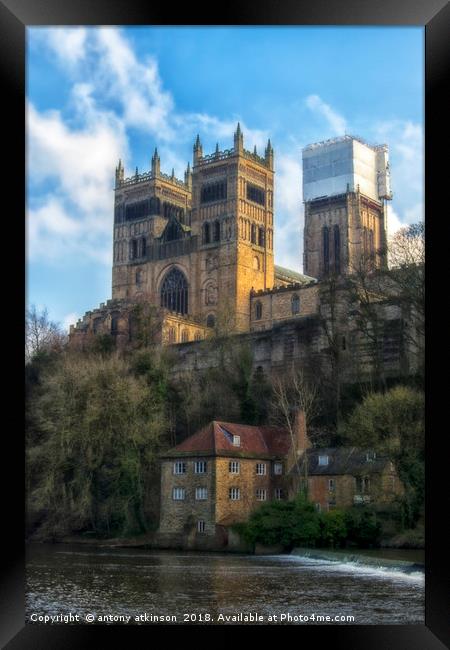 A Walk Along the Riverbank Framed Print by Antony Atkinson