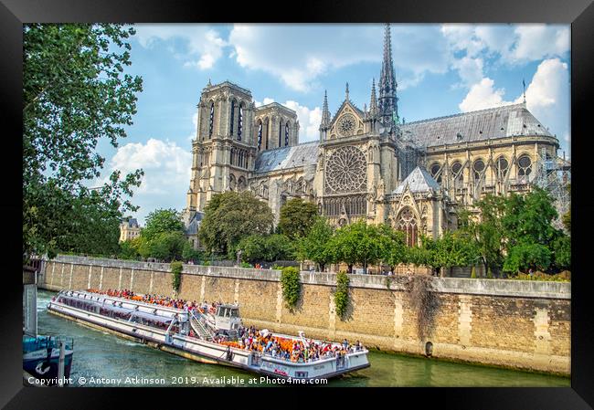 Notre Dame Paris Framed Print by Antony Atkinson