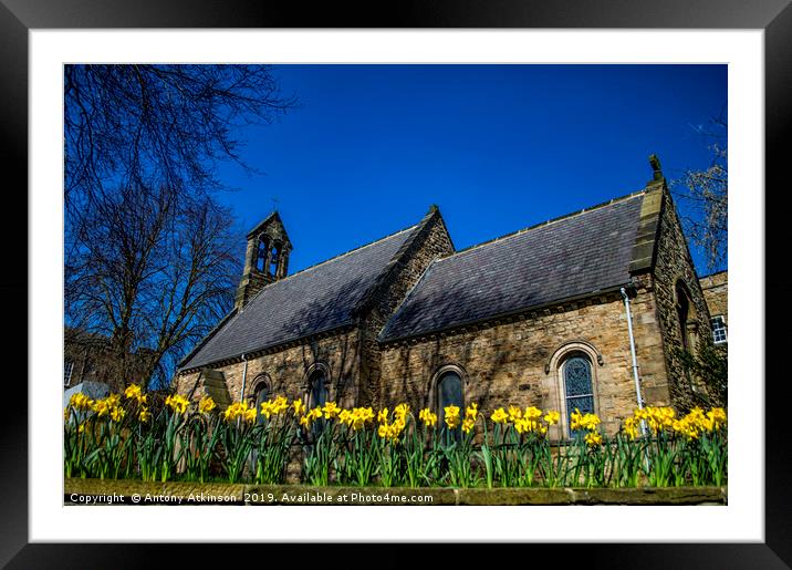 Spring in Durham Framed Mounted Print by Antony Atkinson