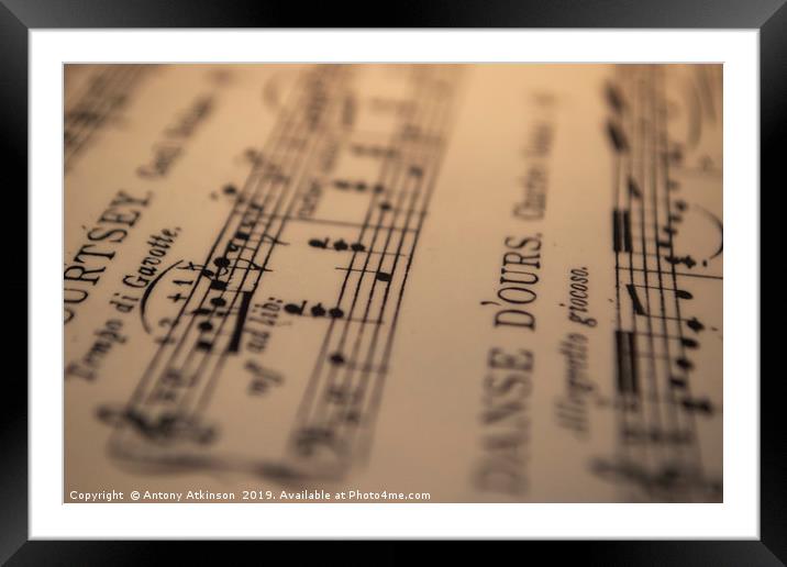 Music Framed Mounted Print by Antony Atkinson