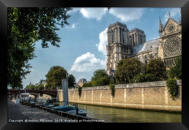 Notre Dame and the Seine Framed Print by Antony Atkinson