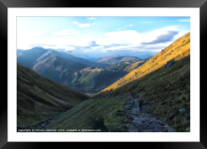 Walking the Great Ben Nevis  Framed Mounted Print by Antony Atkinson