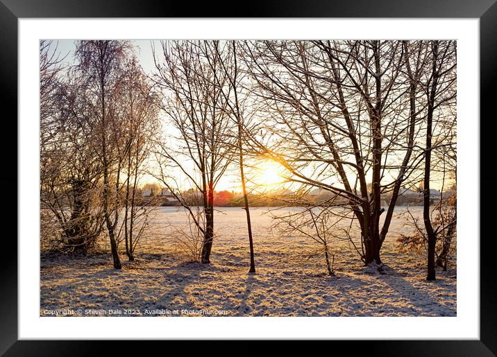Sunrise silhoutte of tress in winter Framed Mounted Print by Steven Dale