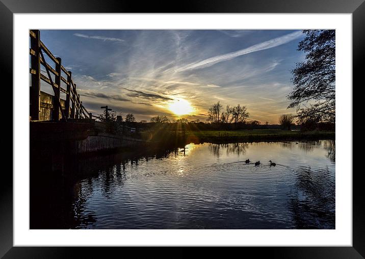 Trio Harmony - Ducks on River Stour Framed Mounted Print by Steven Dale