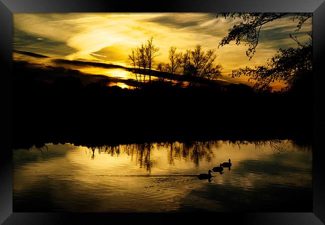 Constable's Inspiration: Ducks at Flatford Mill Framed Print by Steven Dale