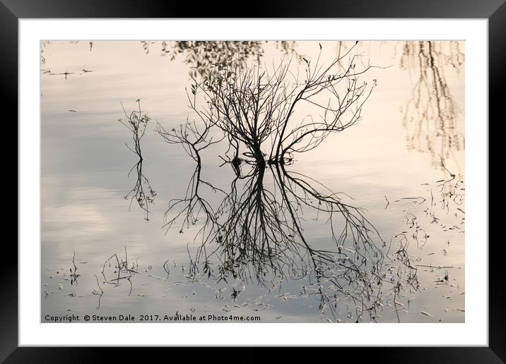 Flooded East Anglian Landscape’s Reflection Framed Mounted Print by Steven Dale