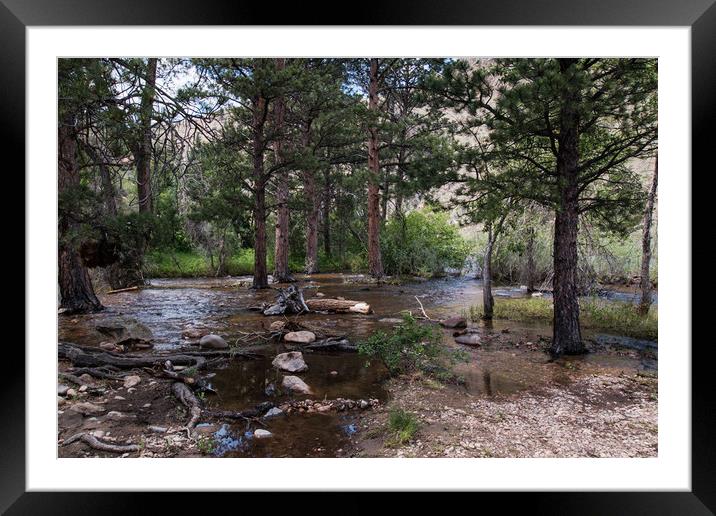 River Through the Forest Framed Mounted Print by Janet Mann