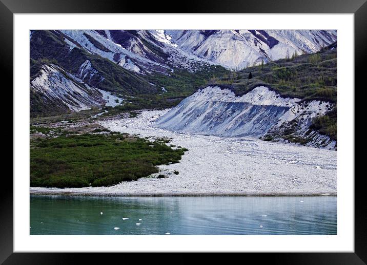 Alaskan Glacier, Glacier Bay Framed Mounted Print by Janet Mann