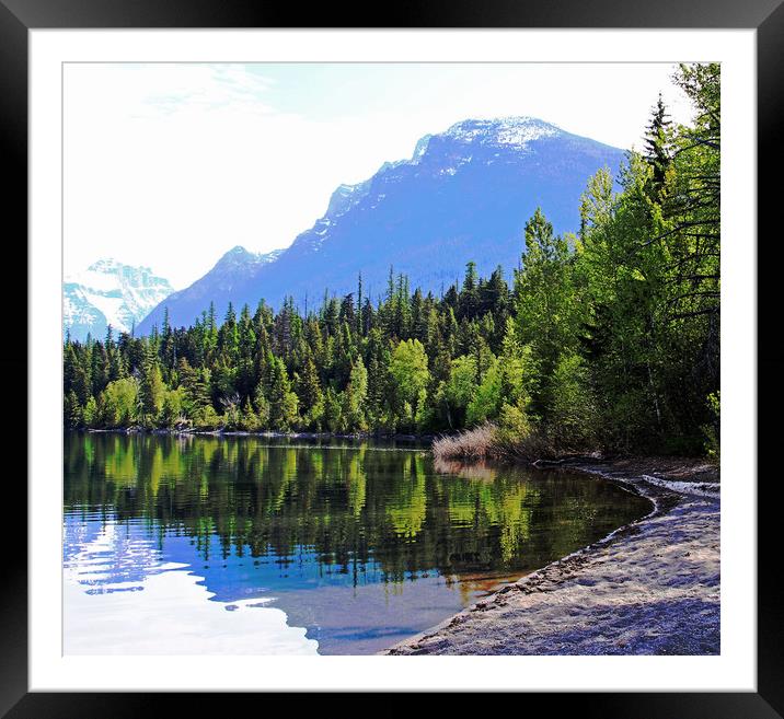 Forest Reflected in Lake Framed Mounted Print by Janet Mann