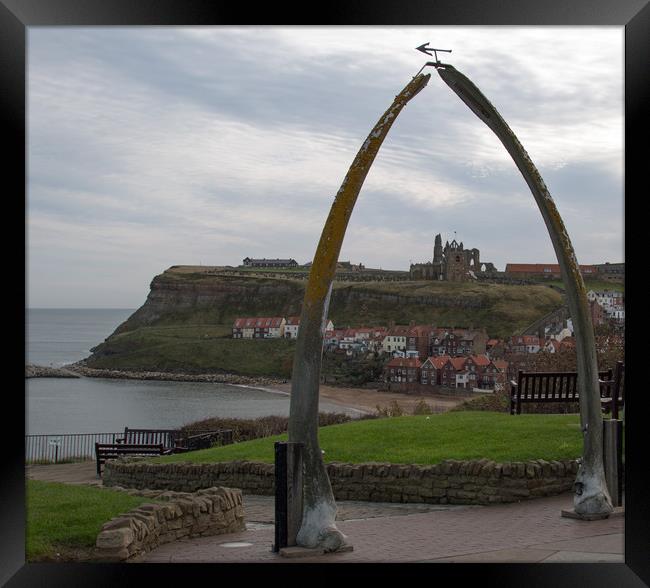 Whitby Abbey Viewed Through Whale Bones Framed Print by Janet Mann