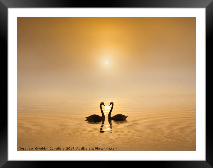 River Darent, Kent at Sunrise  Framed Mounted Print by Adrian Campfield