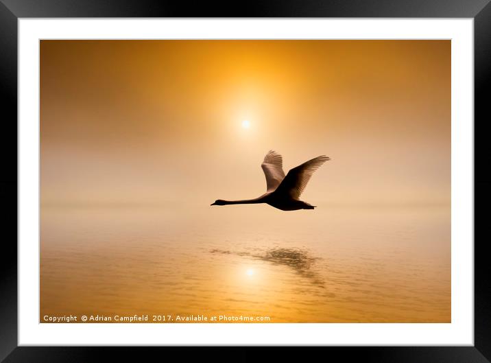 Flight over the River Darent Framed Mounted Print by Adrian Campfield