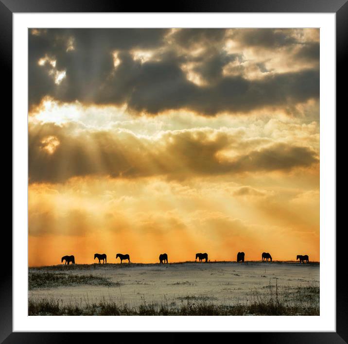 All in a Line Framed Mounted Print by Adrian Campfield