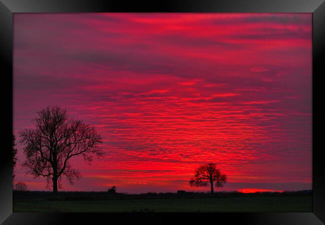 Sky sun Framed Print by Dave Bradley