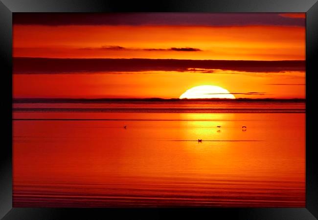 Winter sunset over the sea Framed Print by Dave Bradley