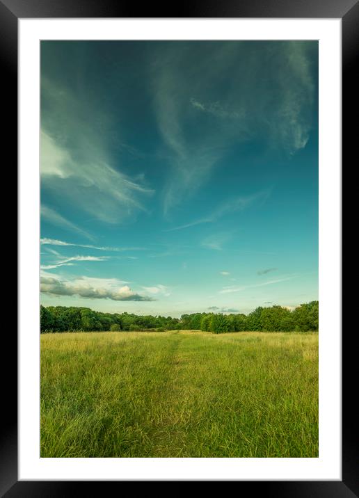 Green park and blue sky, beautiful nature colours Framed Mounted Print by Wael Attia