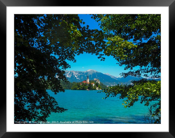 Lake Bled Slovenia Framed Mounted Print by Tom Lightowler