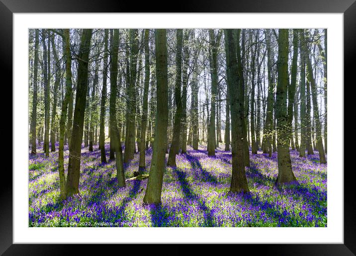 Bluebell Wood  Framed Mounted Print by Jim Key