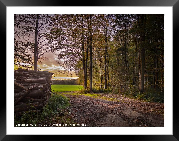 Woodland View Framed Mounted Print by Jim Key